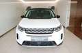 Land Rover Discovery Sport SE P300e Weiß - thumbnail 2
