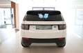 Land Rover Discovery Sport SE P300e Weiß - thumbnail 16