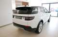 Land Rover Discovery Sport SE P300e Weiß - thumbnail 15