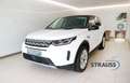 Land Rover Discovery Sport SE P300e Weiß - thumbnail 1