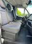 Iveco Daily Wit - thumbnail 12