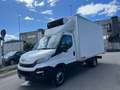 Iveco Daily Biały - thumbnail 11