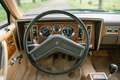 Buick Skylark Limited 2.8 V6 Vert - thumbnail 19