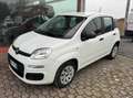 Fiat Panda Panda 1.2 Pop Bianco - thumbnail 1