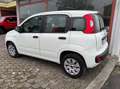 Fiat Panda Panda 1.2 Pop Bianco - thumbnail 2