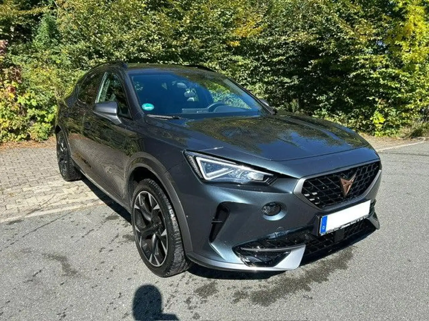 CUPRA Formentor Basis a 4Drive Grau - 2