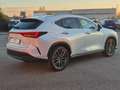 Lexus NX 450h+ 2.5 phev Luxury 4wd 309cv e-cvt IN CONTOVENDITA Blanc - thumbnail 4