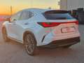 Lexus NX 450h+ 2.5 phev Luxury 4wd 309cv e-cvt IN CONTOVENDITA Blanc - thumbnail 3