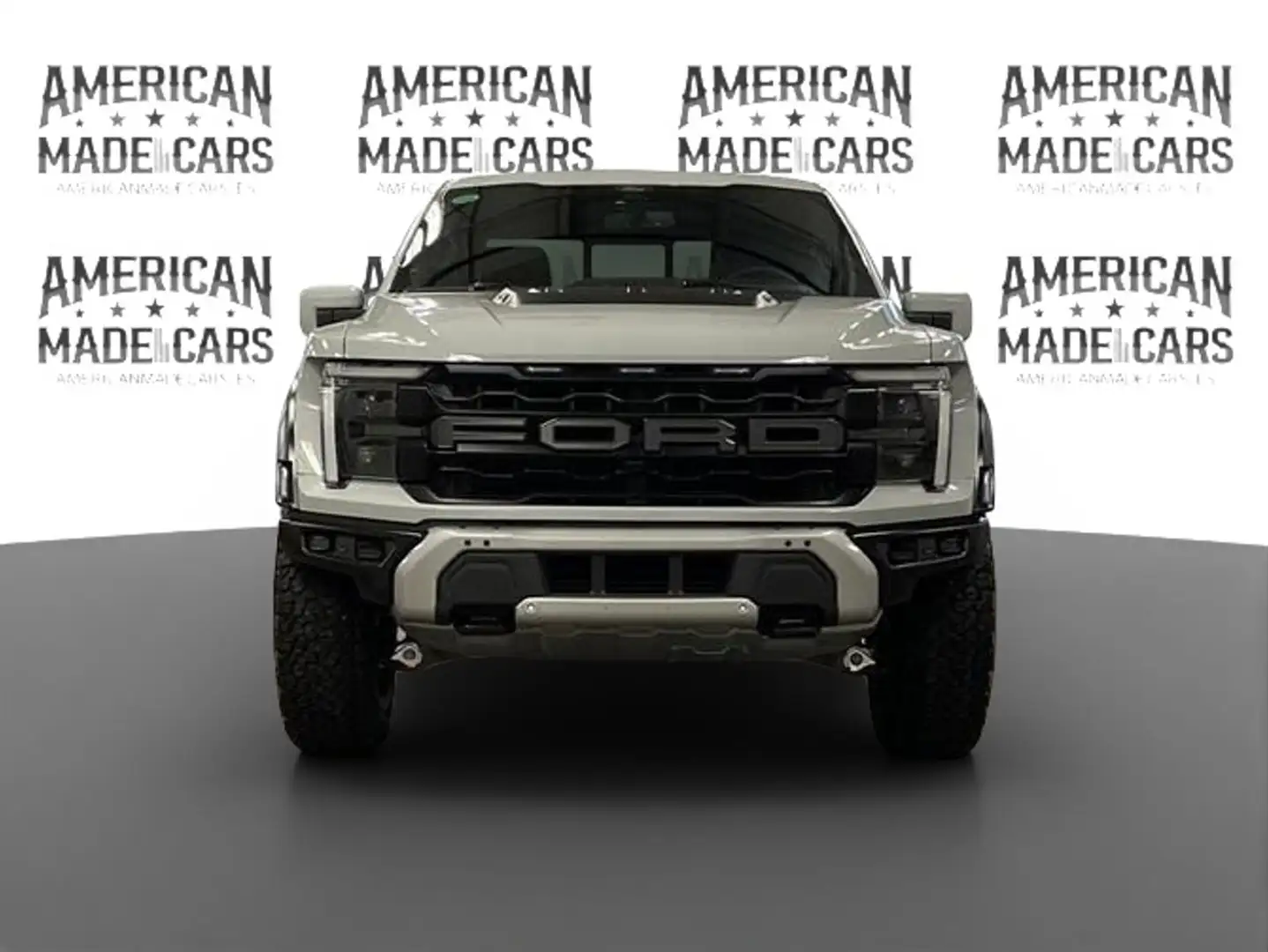Ford F 150 RAPTOR Gris - 2