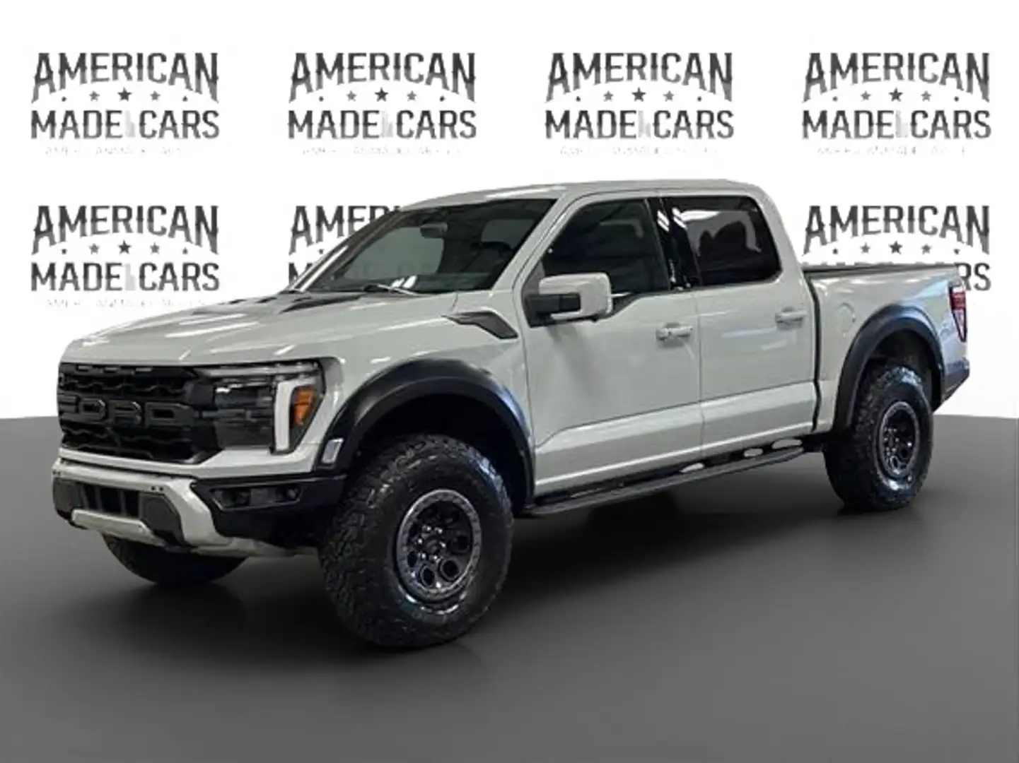Ford F 150 RAPTOR Gris - 1