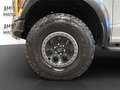 Ford F 150 RAPTOR Grau - thumbnail 14