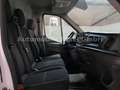 Ford Transit 350 L2H2 TEMPOMAT+KLIMA (0818) Biały - thumbnail 11