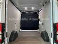 Ford Transit 350 L2H2 TEMPOMAT+KLIMA (0818) Alb - thumbnail 8
