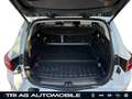 Renault Talisman Grandtour Initiale EDC AHK-einklappbar Weiß - thumbnail 12