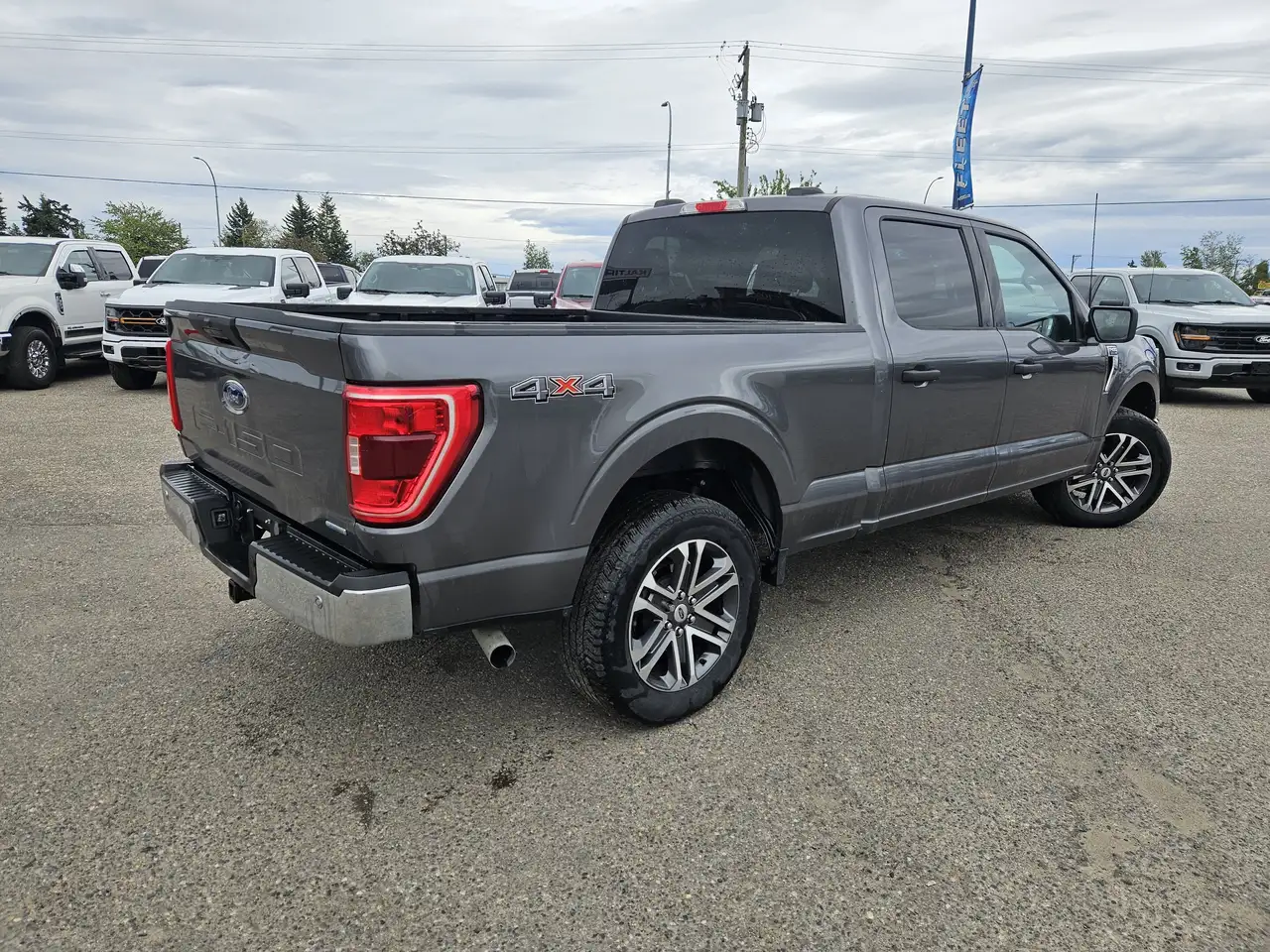 Ford F 150 fotografie Ford F 150