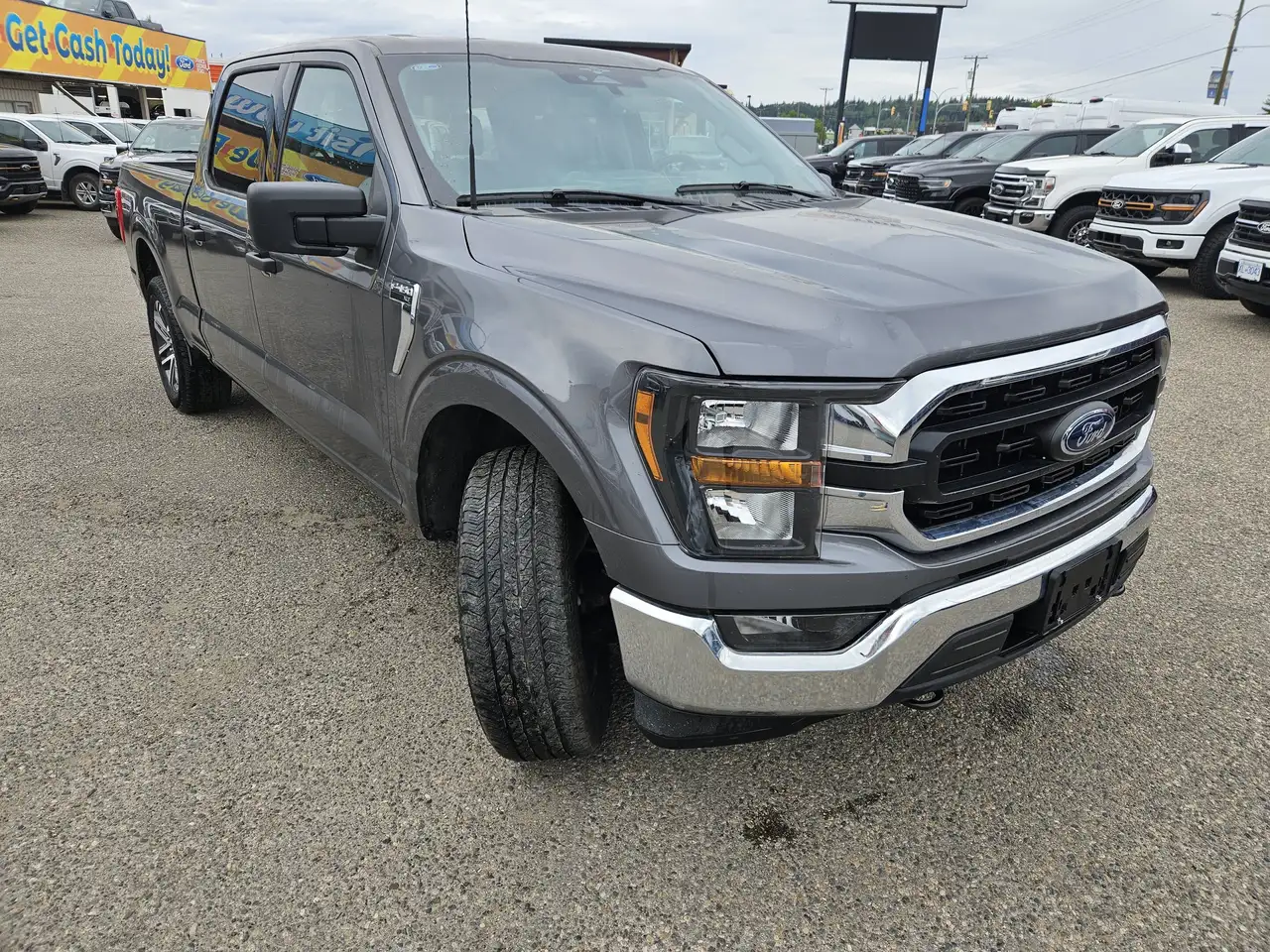 Ford F 150 fotografie Ford F 150