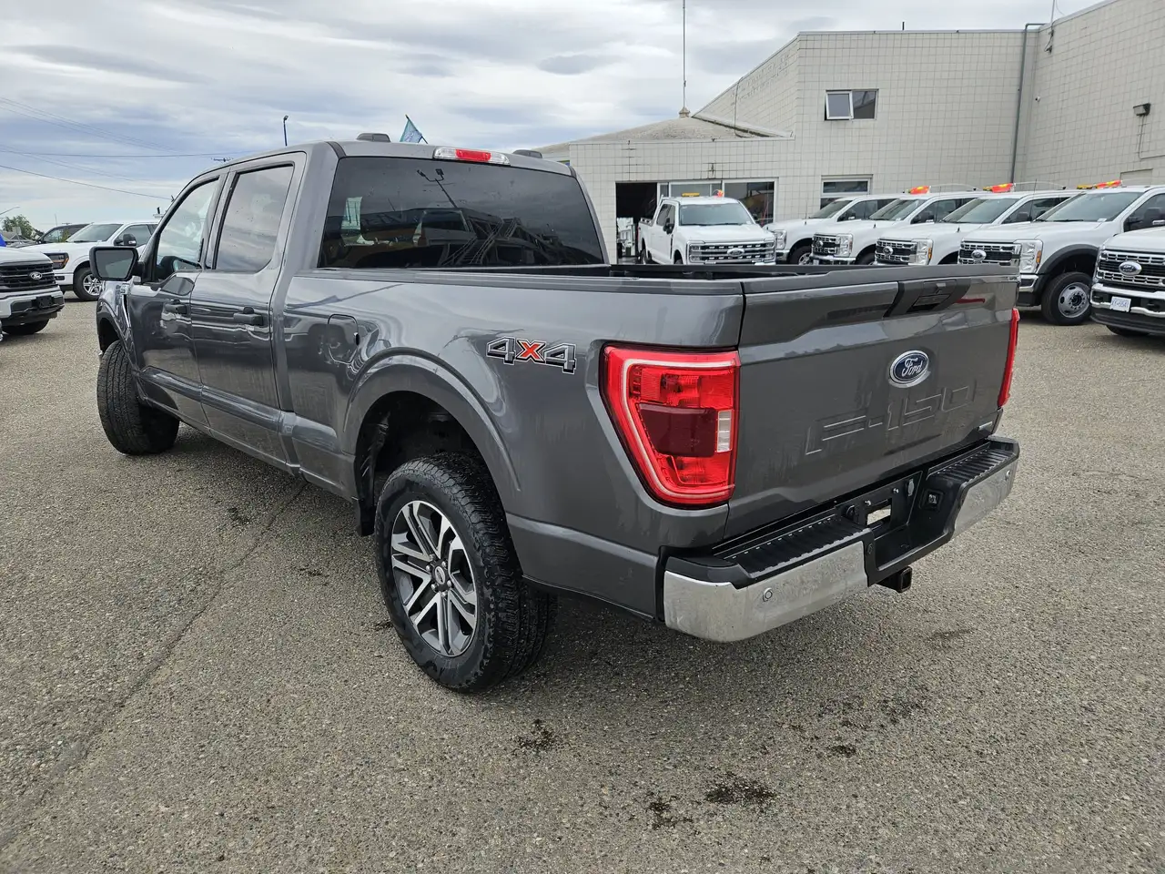 Ford F 150 fotografie Ford F 150