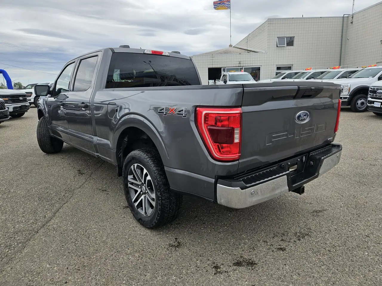 Ford F 150 fotografie Ford F 150