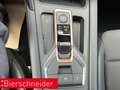 CUPRA Formentor 1.5 TSI DSG ab 239,- EUR mtl. KAMERA ACC Blau - thumbnail 20