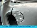 Mercedes-Benz E 55 AMG SELTENE GELEGENHEIT* Sammlerfahrzeug* Blau - thumbnail 14