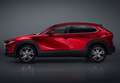 Mazda CX-30 2.5 e-Skyactiv-G Prime Line FWD 103kW Gris - thumbnail 38