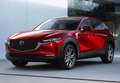 Mazda CX-30 2.5 e-Skyactiv-G Prime Line FWD 103kW Grau - thumbnail 20