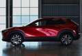 Mazda CX-30 2.5 e-Skyactiv-G Prime Line FWD 103kW Grau - thumbnail 28