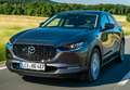 Mazda CX-30 2.5 e-Skyactiv-G Prime Line FWD 103kW Grau - thumbnail 11