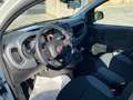 Fiat Panda Panda 0.9 t.air t. natural power Easy 70cv - thumbnail 2