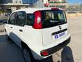 Fiat Panda Panda 0.9 t.air t. natural power Easy 70cv - thumbnail 8