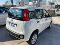 Fiat Panda Panda 0.9 t.air t. natural power Easy 70cv - thumbnail 9