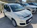 Fiat Panda Panda 0.9 t.air t. natural power Easy 70cv - thumbnail 1