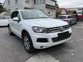 Volkswagen Touareg V6 TDI Edition X/Standheizung/Leder/Panoda/20-Zoll Blanc - thumbnail 1