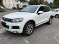 Volkswagen Touareg V6 TDI Edition X/Standheizung/Leder/Panoda/20-Zoll Blanc - thumbnail 2