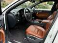 Volkswagen Touareg V6 TDI Edition X/Standheizung/Leder/Panoda/20-Zoll Blanc - thumbnail 13
