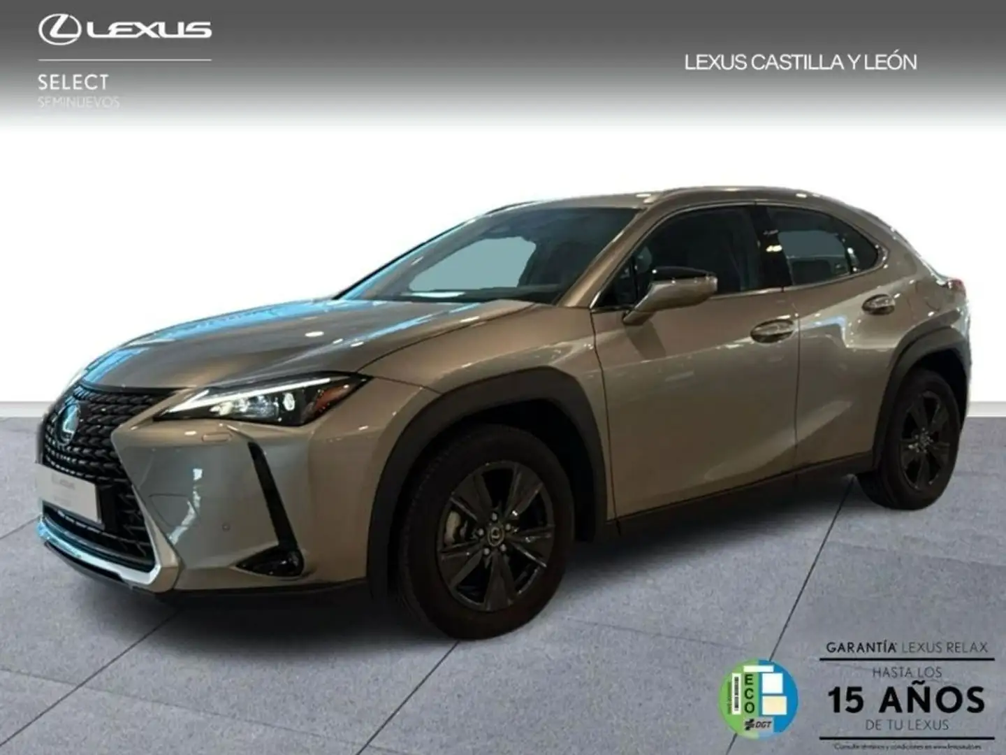 Lexus UX 300h + 2WD Gris - 1