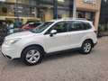 Subaru Forester Exclusive Standheizung 4x4 Top Blanc - thumbnail 5
