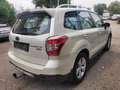 Subaru Forester Exclusive Standheizung 4x4 Top Blanc - thumbnail 7