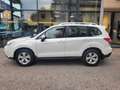 Subaru Forester Exclusive Standheizung 4x4 Top Blanc - thumbnail 1