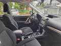 Subaru Forester Exclusive Standheizung 4x4 Top Blanc - thumbnail 12