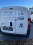 Fiat Fiorino Fiorino Panorama Weiß - thumbnail 4