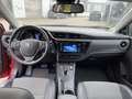 Toyota Auris 1.8 Hybrid Executive DAB*KAM*SHZ* Rosso - thumbnail 12