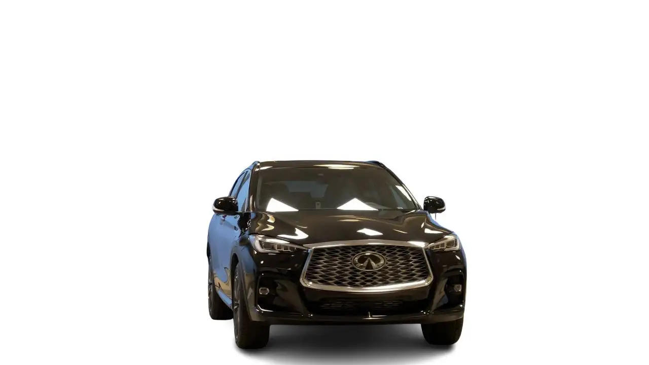 Infiniti QX55 снимка Infiniti QX55