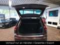 Volkswagen Tiguan Life Blau - thumbnail 5