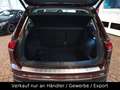 Volkswagen Tiguan Life Blau - thumbnail 6