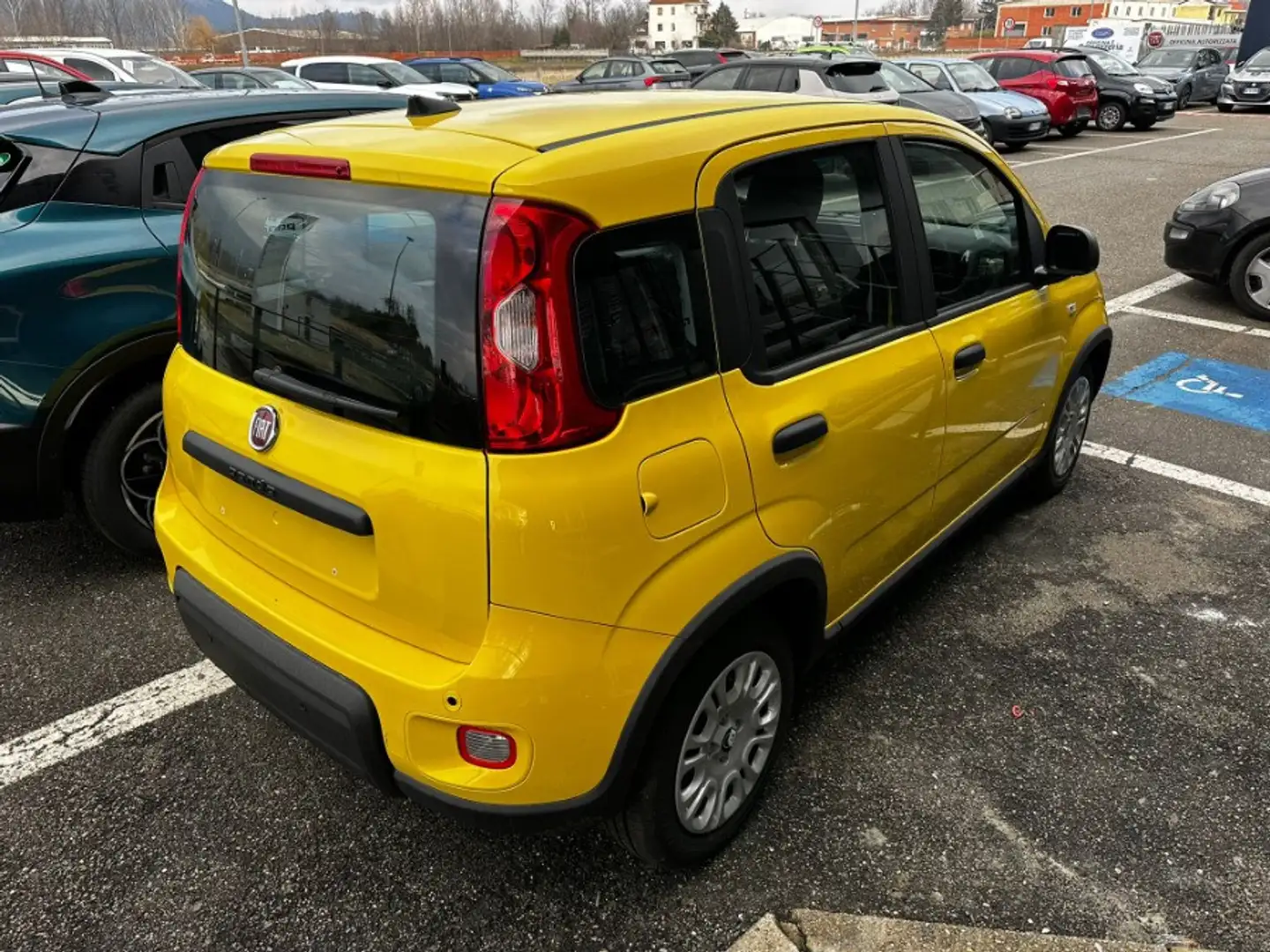 Fiat Panda 1.0 FireFly Hybrid Giallo - 2