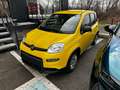 Fiat Panda 1.0 FireFly Hybrid Giallo - thumbnail 1
