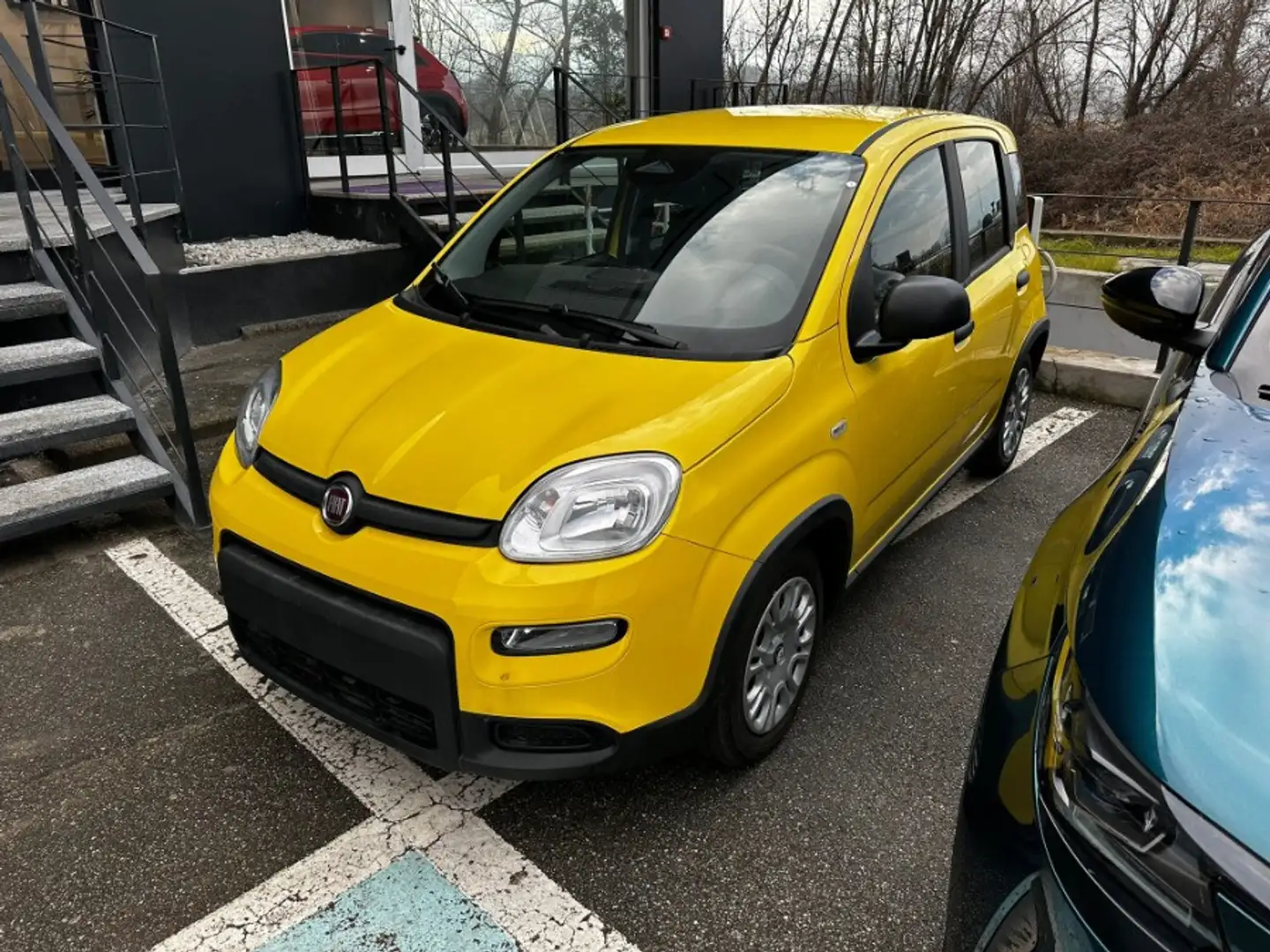 Fiat Panda 1.0 FireFly Hybrid Giallo - 1
