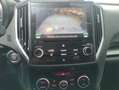 Subaru XV 2.0i Hybrid Executive Plus CVT Azul - thumbnail 16