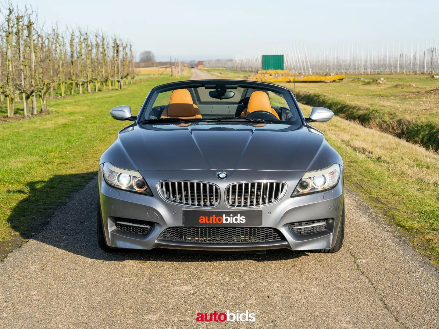 BMW Z4 Z4 3.0iA sDrive35is - 2